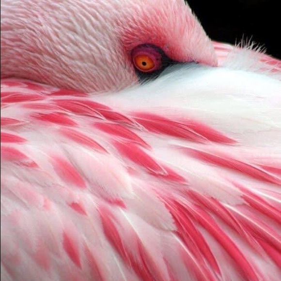 Meet your Posher, Shannon - Picture 2 of 16